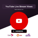 Buy YouTube Live Stream Views